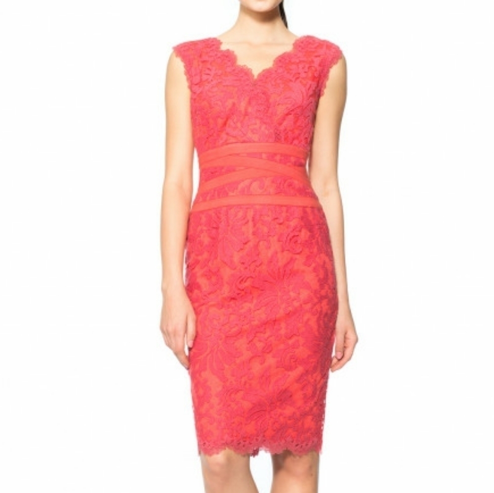 Tadashi Shoji Embroidered Lace Dress in Ca…